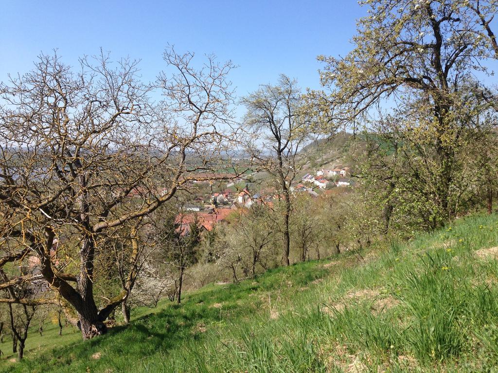 Alte Rose Gasthaus Ebelsbach Bilik gambar